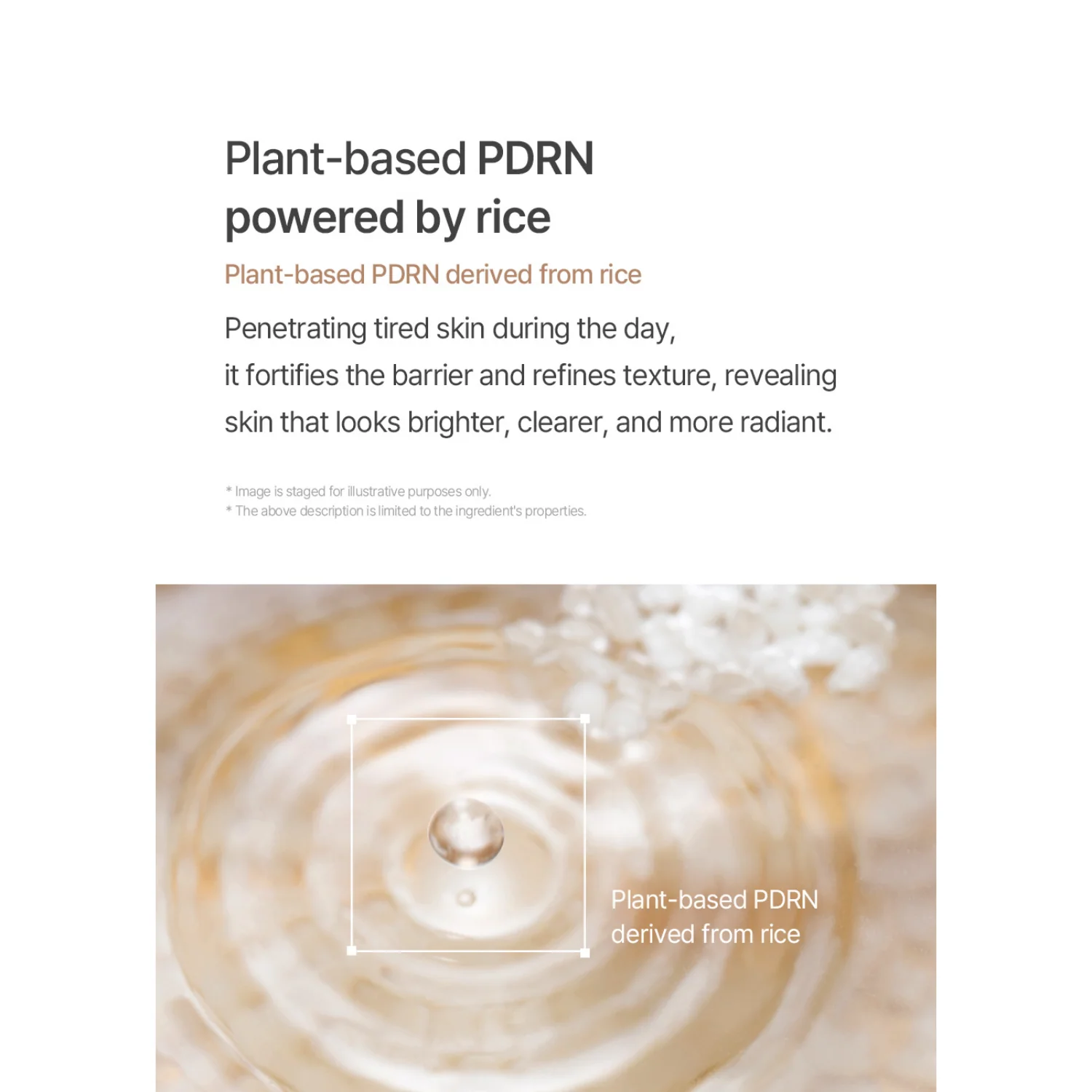 mixsoon Black Rice Peeling Ampoule 100ml - Image 6