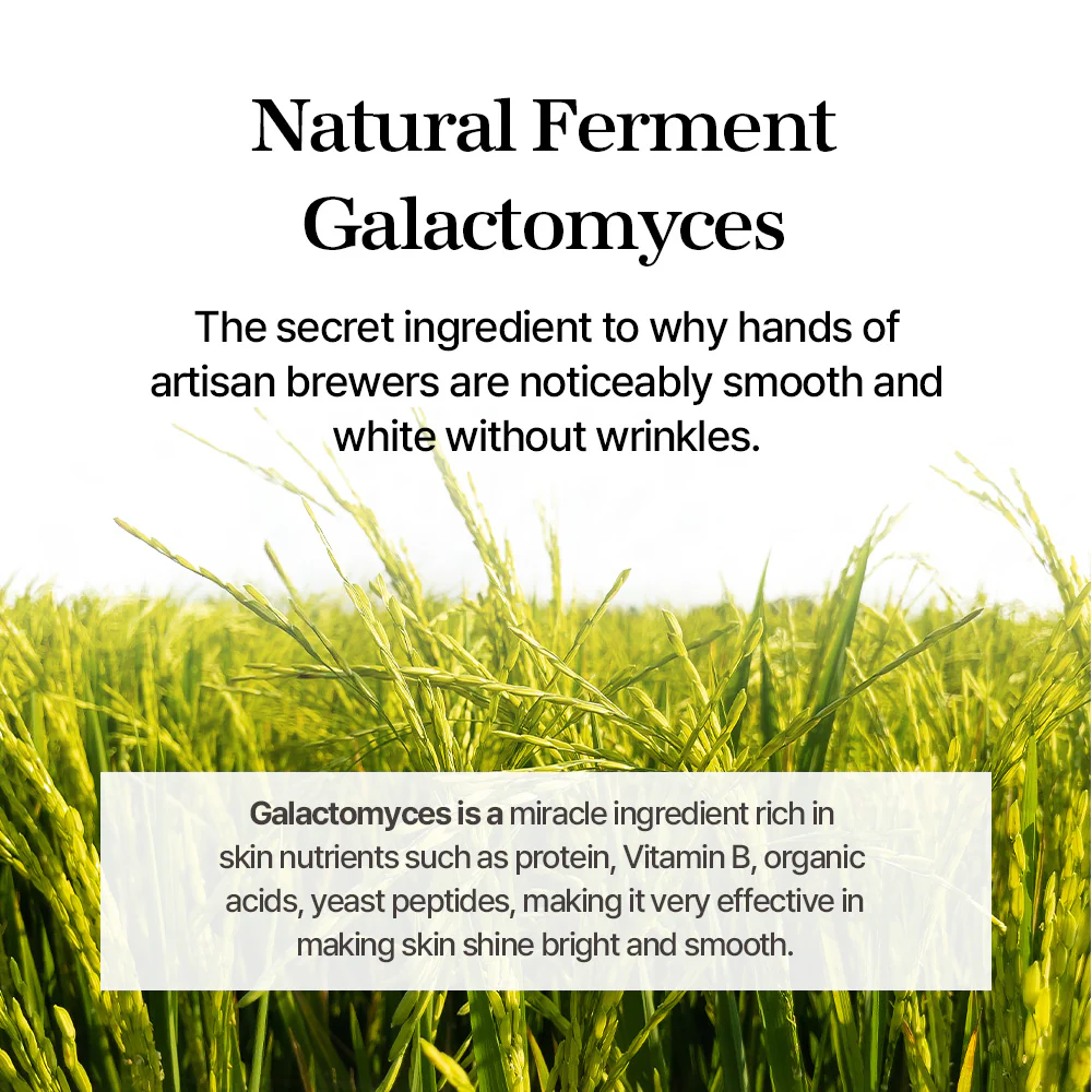 mixsoon Galactomyces Ferment Essence 100ml - Image 4