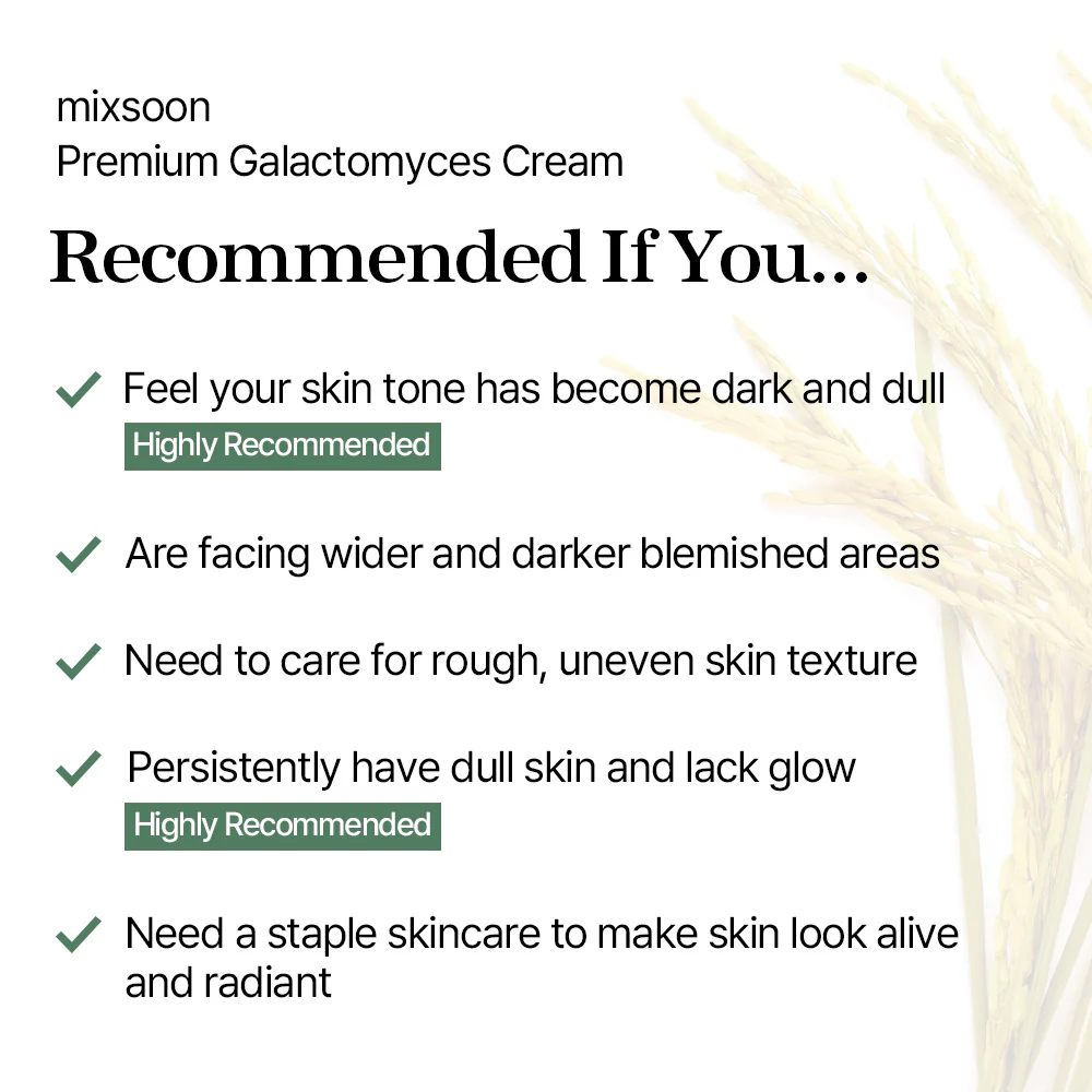 mixsoon Premium Galactomyces Cream 50ml - Image 7