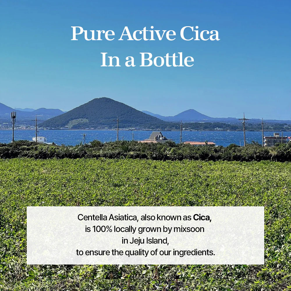 mixsoon Soondy Centella Asiatica Essence 100ml - Image 4