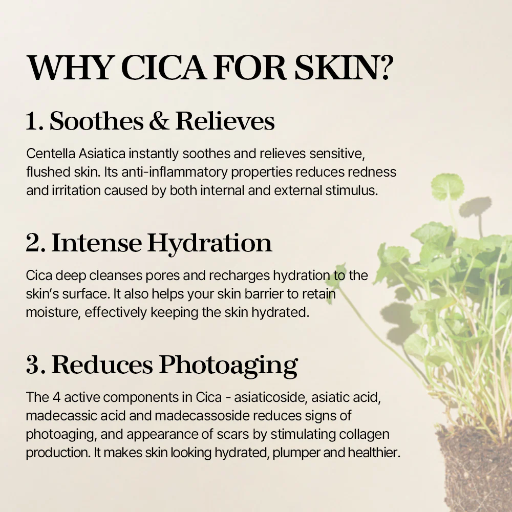 mixsoon Soondy Centella Asiatica Essence 100ml - Image 5